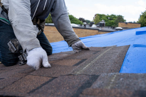 Roof Waterproofing Services in Raymond, WA