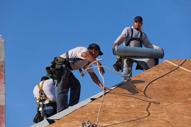 Best Roof Maintenance Services  in Raymond, WA